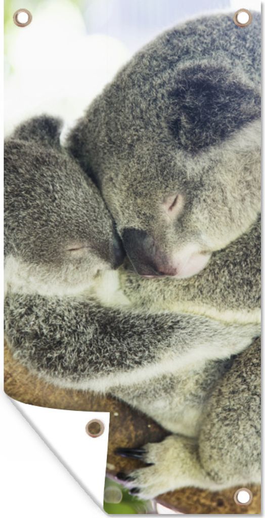 MuchoWow 80x160 cm Outdoor-Poster Gartendeko Sichtschutz Garten Poster für den Garten Koalas - Plüschtier - Tiere - Kinder - Jungen - Mädchen