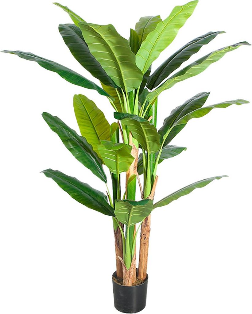 Lykke Künstliche Pflanze Bananenbaum 170cm