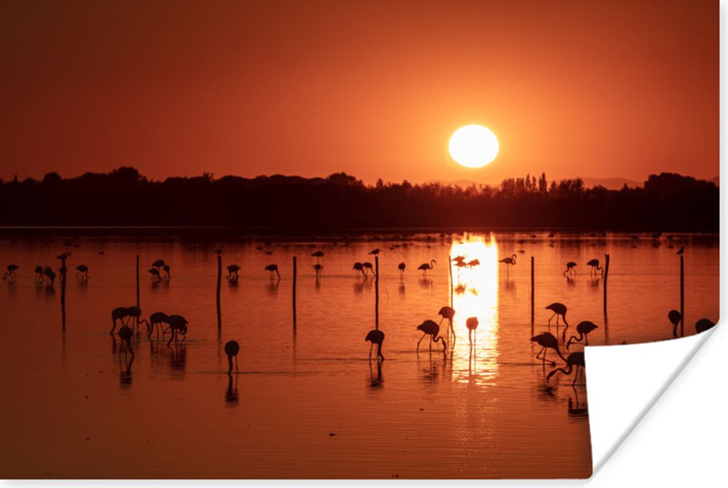 MuchoWow Poster Sonnenuntergang mit Flamingos in der Camargue 60x40 cm - Schlafzimmerdekoration