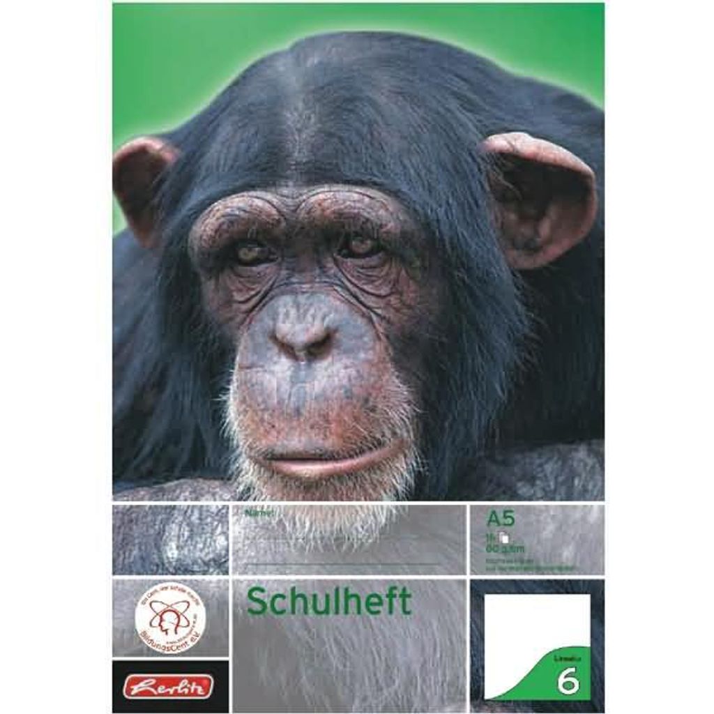 herlitz Schulheft x.book, DIN A5, Lineatur 6 / blanko Immagine del prodotto 