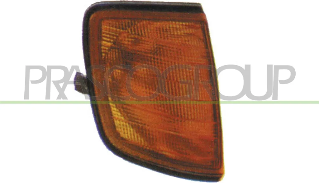 PRASCO ME0314003: L'Indicatore Destro per la tua Mercedes Classe E A124