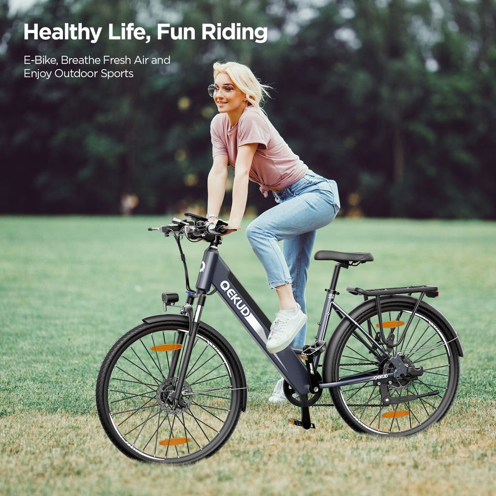 26M208 E-bike 26'' Trekkingrad E-Cityrad mit 36V Produktbild 8