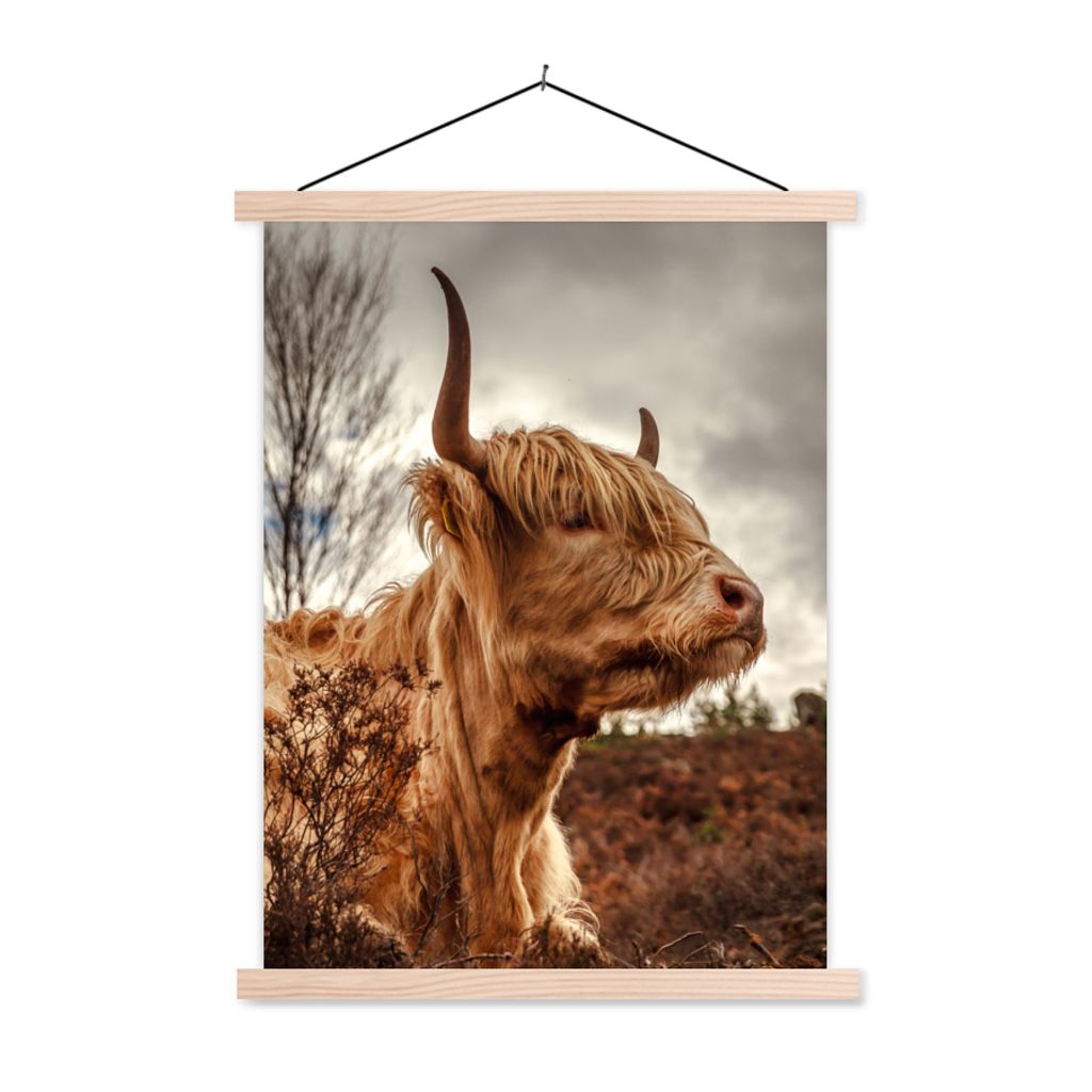 MuchoWow Textilposter Scottish Highlander - Strauch - Heidekraut 120x160 cm mit holzfarbenen Rahmen - Plakatkarton