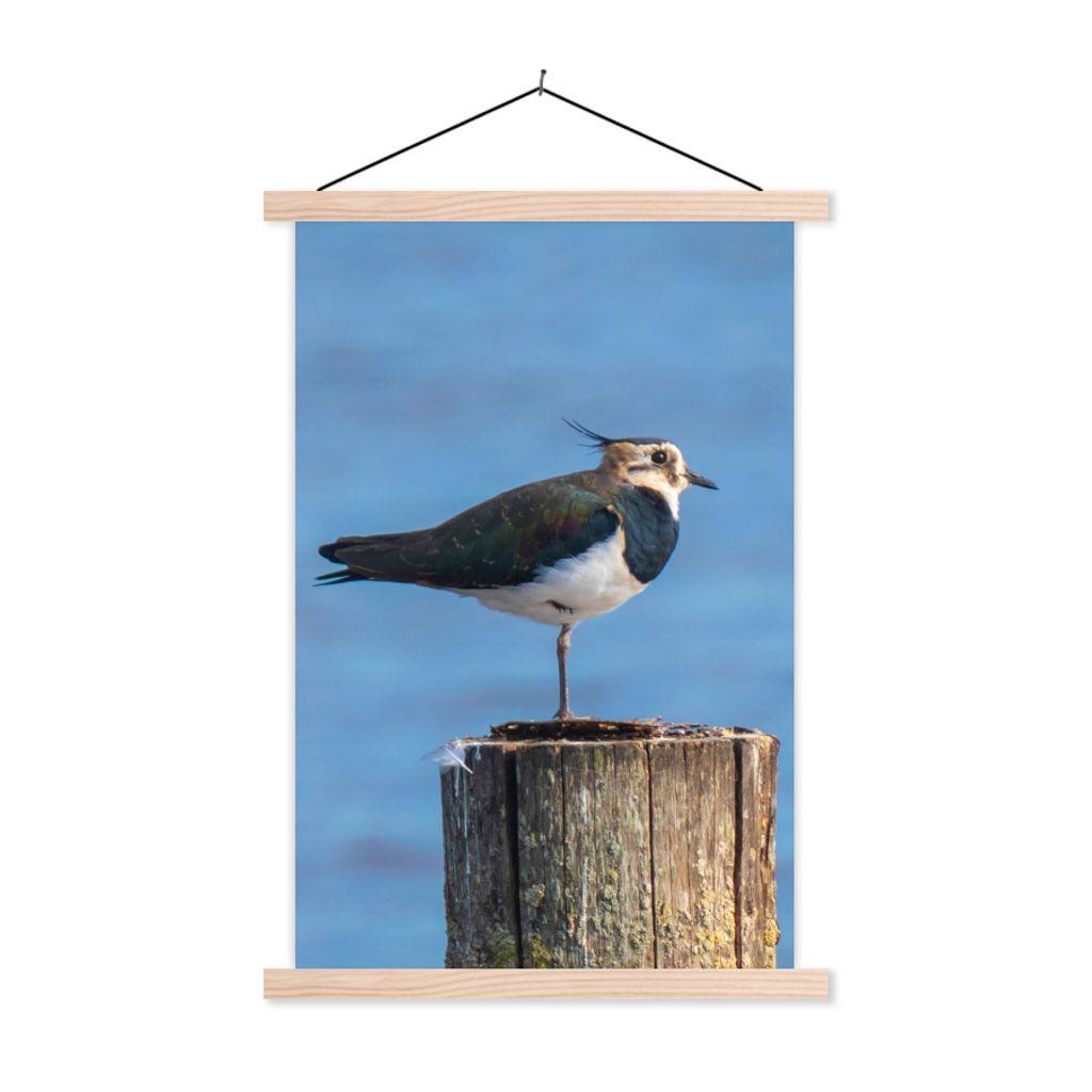 MuchoWow Textilposter Vogel - Tiere - Pfahl - Blau - Kiebitz 60x90 cm mit holzfarbenen Rahmen - Textil