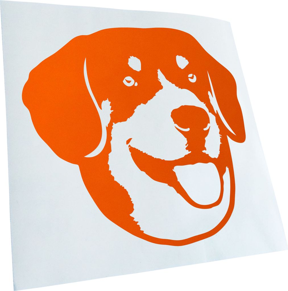Kiwistar - Autoaufkleber - English bucher mountain dog - Orange - 40x36cm - Aufkleber für Auto, Laptop, Fahrrad, LKW, Motorrad mehrfarbig JDM Deca...
