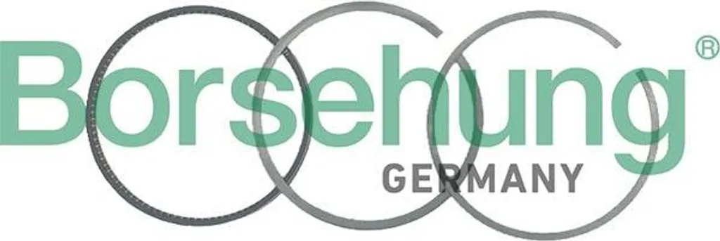 Borsehung B19045 Jeu de Segments de Piston 06J198151B pour Audi A3 A4