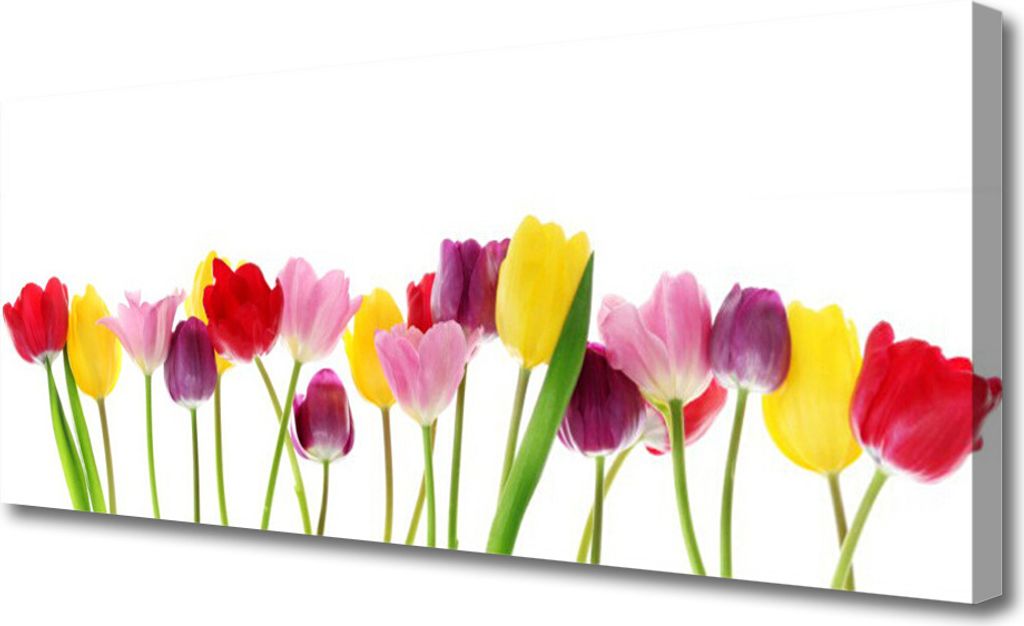 Tulup Leinwand-Bilder 125x50 Wandbild Canvas Kunstdruck Tulpen Pflanzen