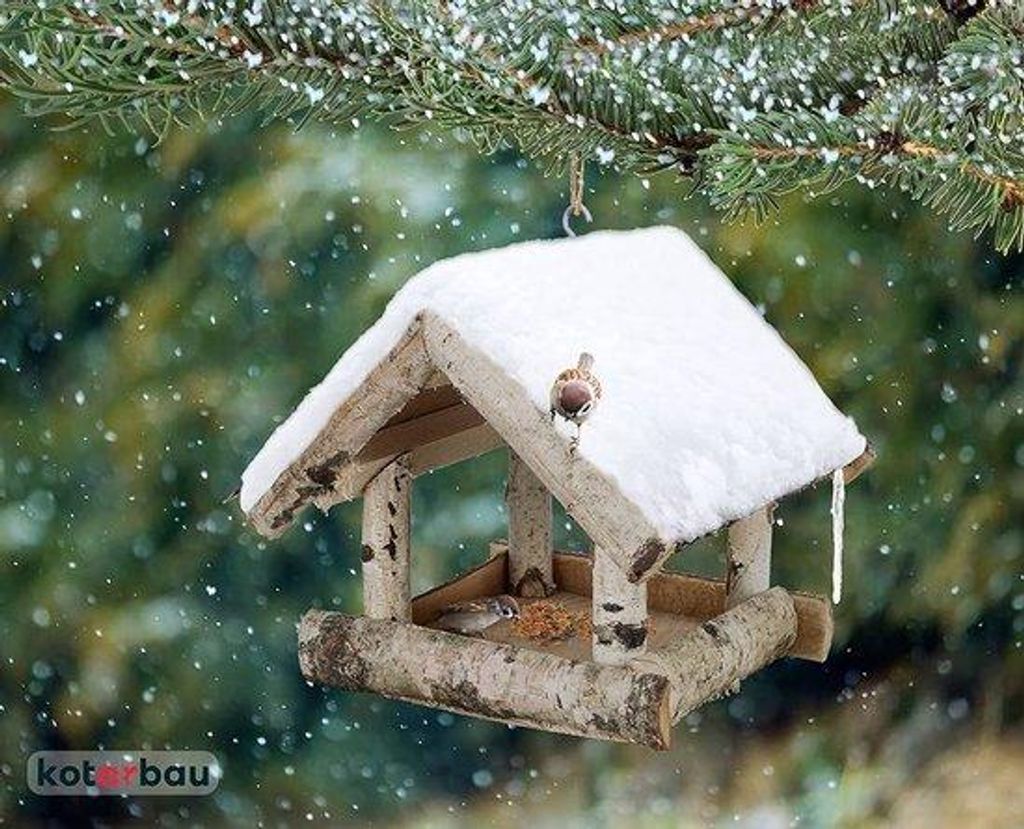 Holz Vogelständer - Sicher Futterstation - 1 Stück - Braun - Birke