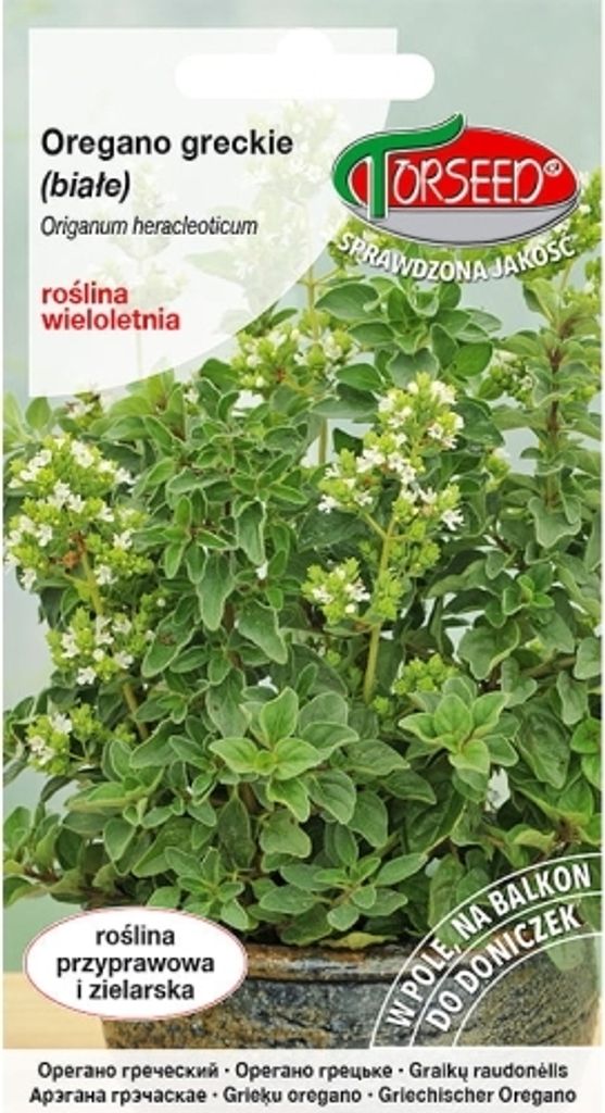 Griechischer Oregano, Origanum heracleoticum, weiß 0.1g - Torseed