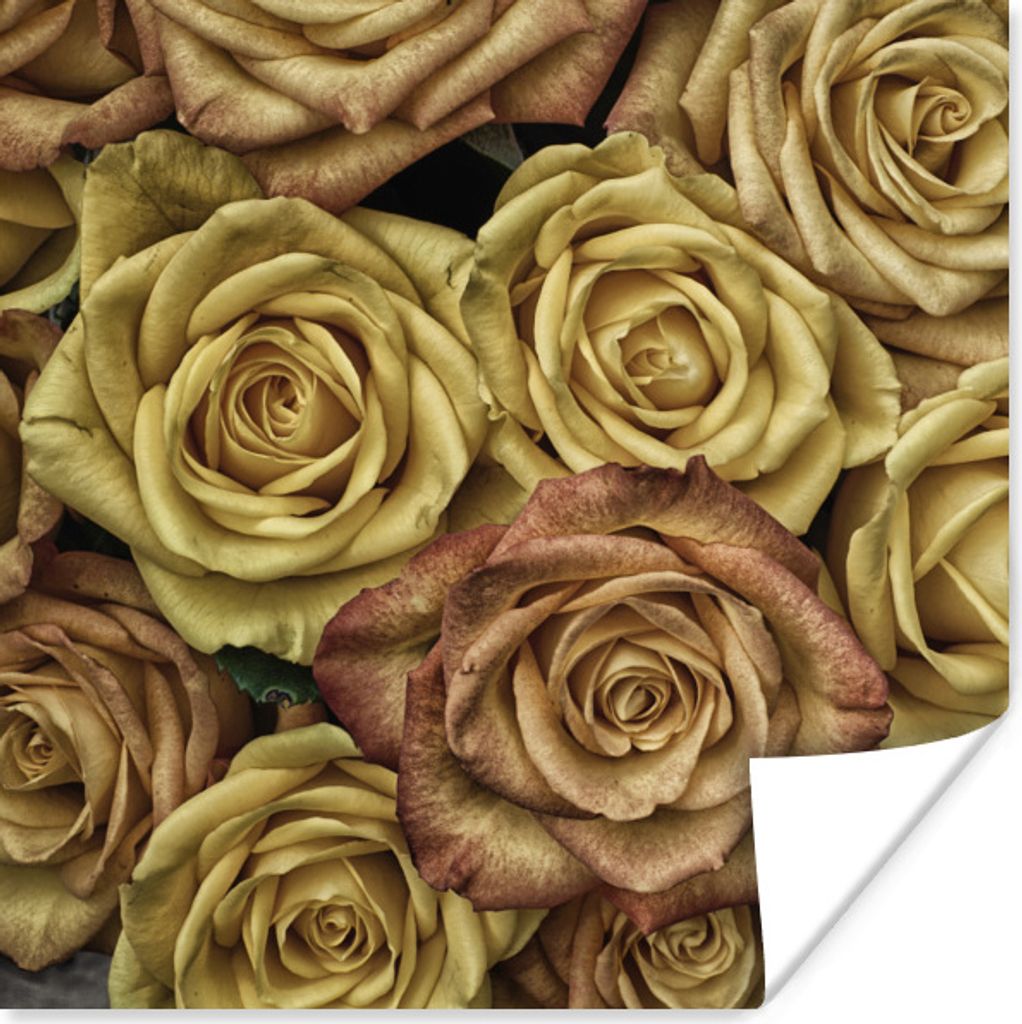 MuchoWow Poster Rosen - Gold - Blumenstrauß 75x75 cm - Wand Dekoration