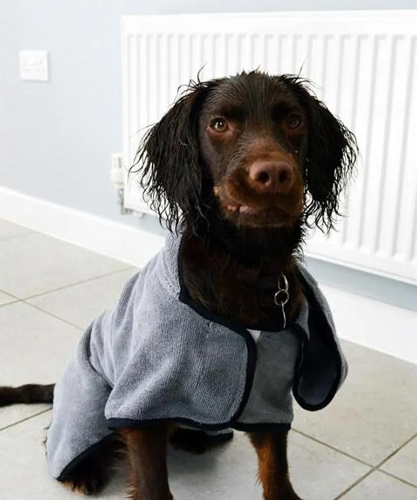 Recensione Accappatoio Cani Groom L HP | Il Top della Microfibra