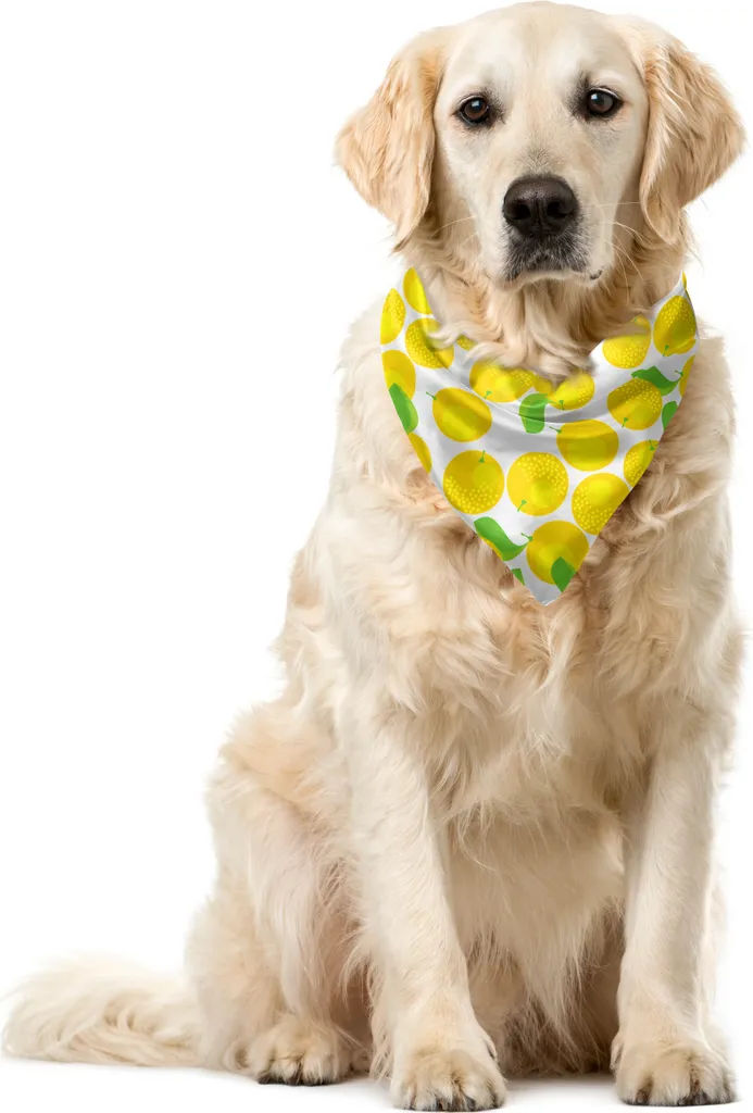 ABAKUHAUS Bandana per animali domestici con motivi fruttati, motivo ripetuto con arance di agrumi, 40x40 cm, giallo, verde, bianco