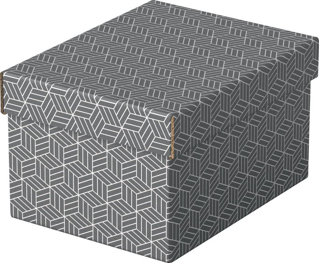 Esselte 628281 Dateiablagebox Karton Grau Produktbild 