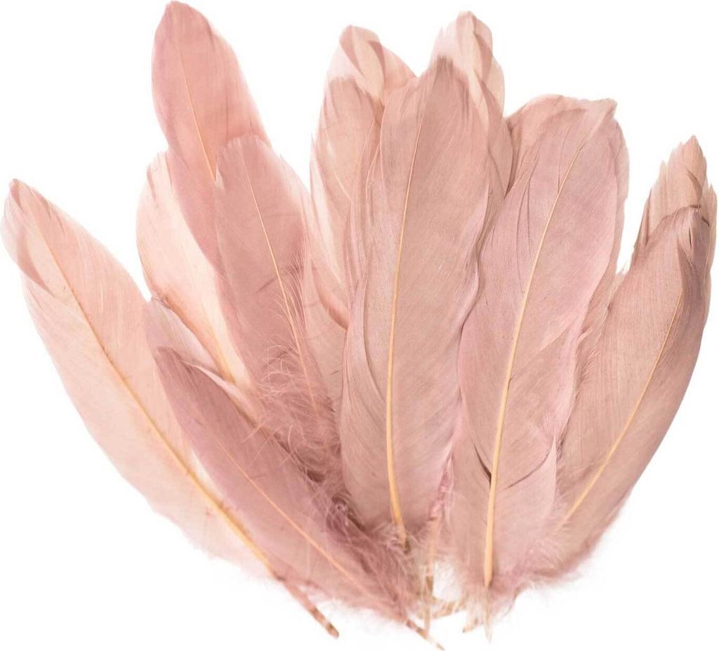 20 Entenfedern 15-21cm Bastelfedern Federn Dekofedern f. Hüte Kostüme Basteln