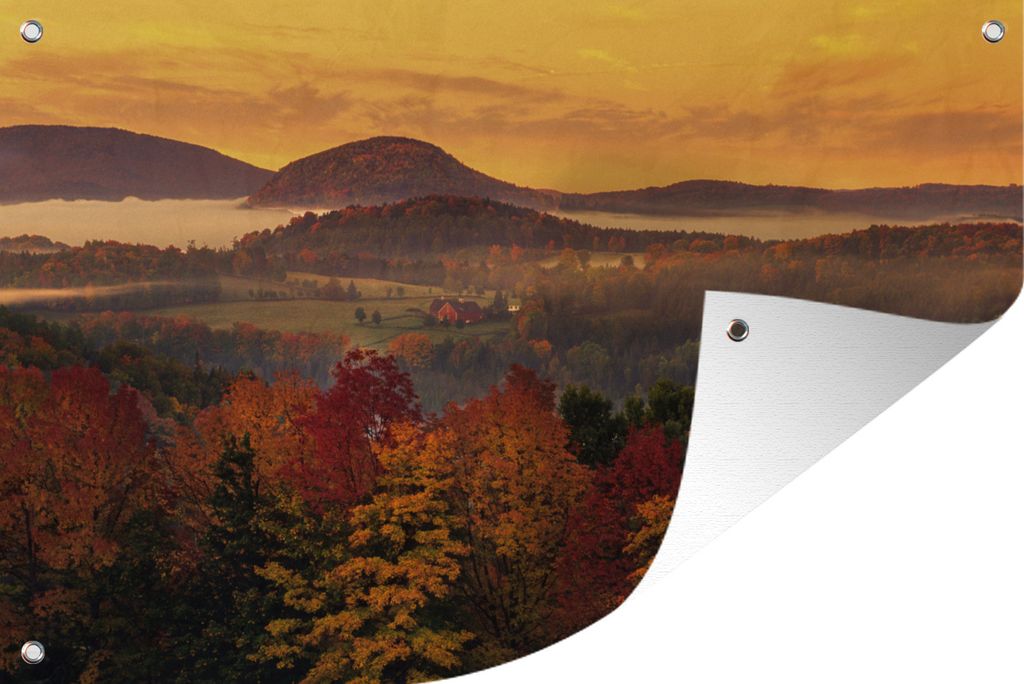 MuchoWow 60x40 cm Outdoor-Poster Gartendeko Sichtschutz Garten Poster für den Garten Blick auf mehrere Ahornbäume und einen orangefarbenen Himmel