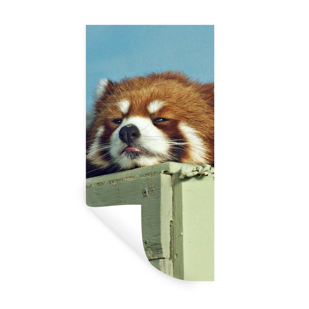 MuchoWow Wandtattoo Wandsticker Wandaufkleber Panda - Holz - Rot 60x120 cm Selbstklebend und Repositionierbar - Selbstklebend - Fototapeten
