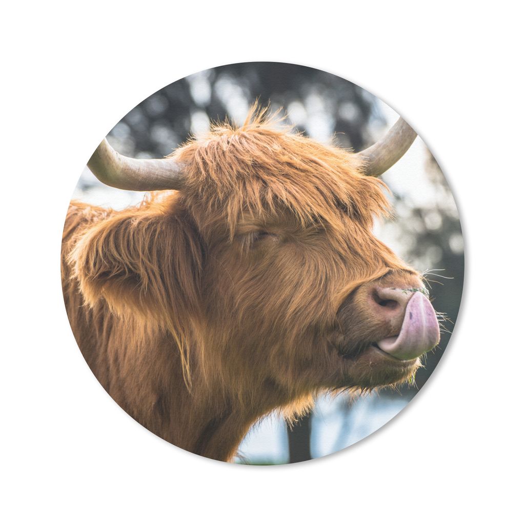 MuchoWow Mauspad Mousepad Schottischer Hochländer - Kuh - Frühling - Tiere 30x30 cm - Mousepads - Maus Mat - Pad - Mausunterlage - Tischunterla...