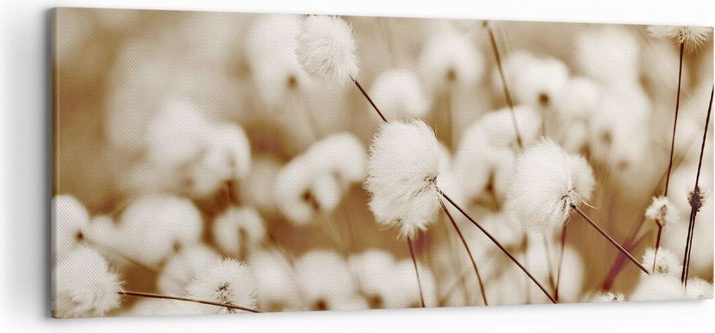 Bild auf Leinwand - Leinwandbild - Einteilig - Baumwolle Boho Wollig - 120x50cm - Wand Bild - Wanddeko - Wandbilder - Leinwanddruck - Bilder - Wand...