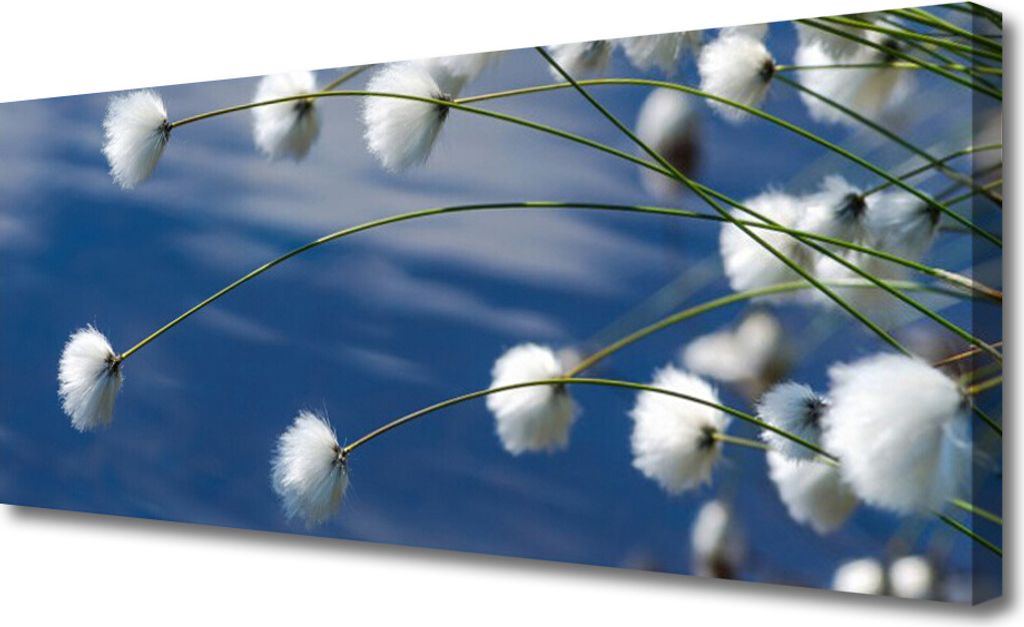 Tulup Leinwand-Bilder 125x50 Wandbild Canvas Kunstdruck Blumen Pflanzen