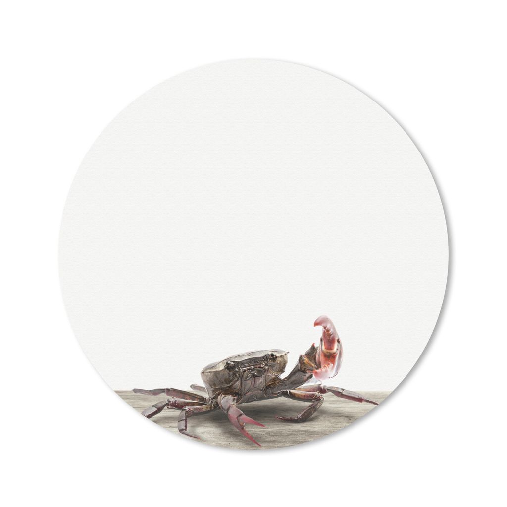 MuchoWow Mauspad Mousepad Kinder - Krabbe - Meerestiere - Jungen - Mädchen - Kinder 50x50 cm - Mousepads - Maus Mat - Pad - Mausunterlage - Vinyl