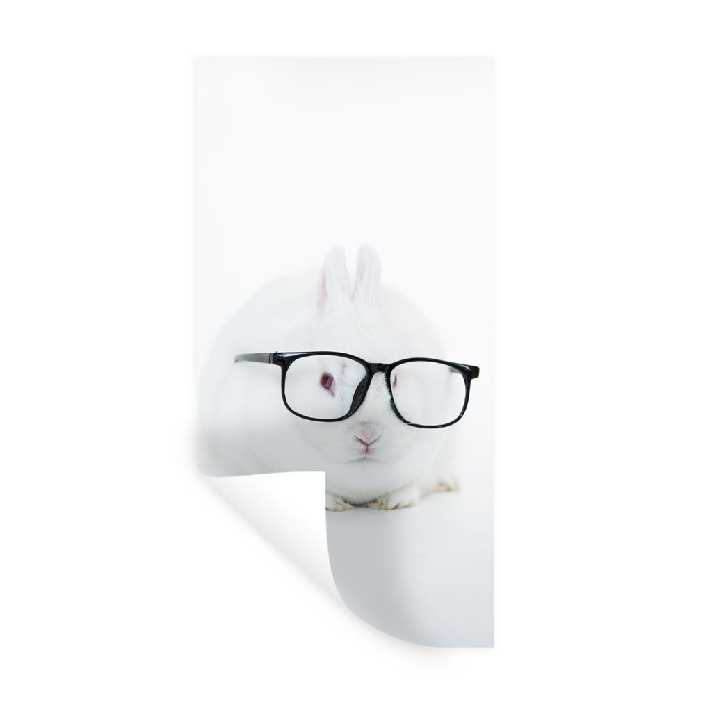 MuchoWow Wandtattoo Wandsticker Wandaufkleber Kaninchen - Brille - Hipster 60x120 cm Selbstklebend und Repositionierbar - Selbstklebend - Fototap...