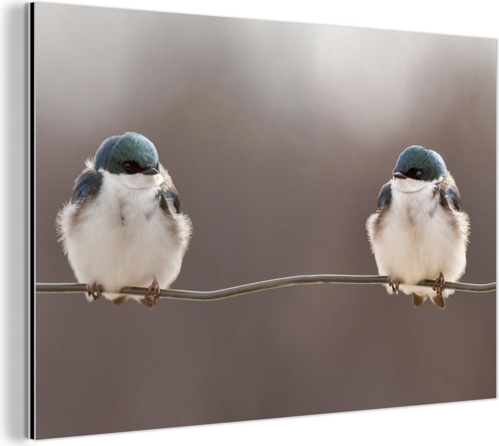 MuchoWow Wanddekoration Metall Metallbild Wandkunst 30x20 cm Vögel - Tiere - Gewinde - Porträt MuchoWow Aluminium Gemälde - Aluminiumgemälder