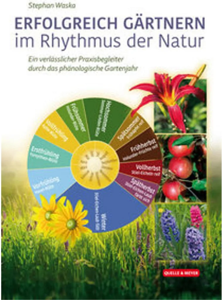 Jardinier sans produits chimiques : solutions pour un jardin vivant