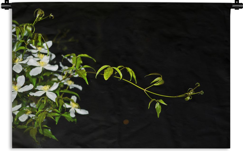 MuchoWow Wandteppich Wandbehang Ein kriechender Zweig einer weißen Clematis auf schwarzem Hintergrund 150x100 cm Tapisserie Dekoration Wandtuch ...
