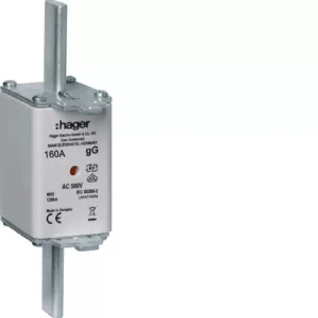 Hager LNH2160M Sectionneur Compact 160A - Qualité et Sécurité 2P