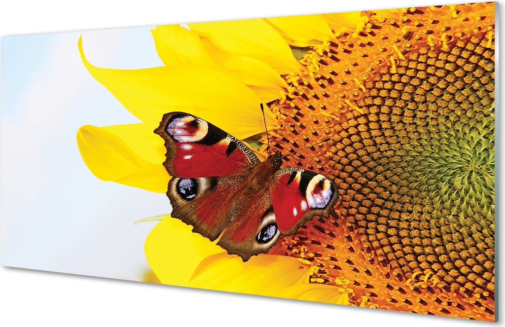 Spritzschutz 100x50 Wandkunst Sonnenblume Schmetterling
