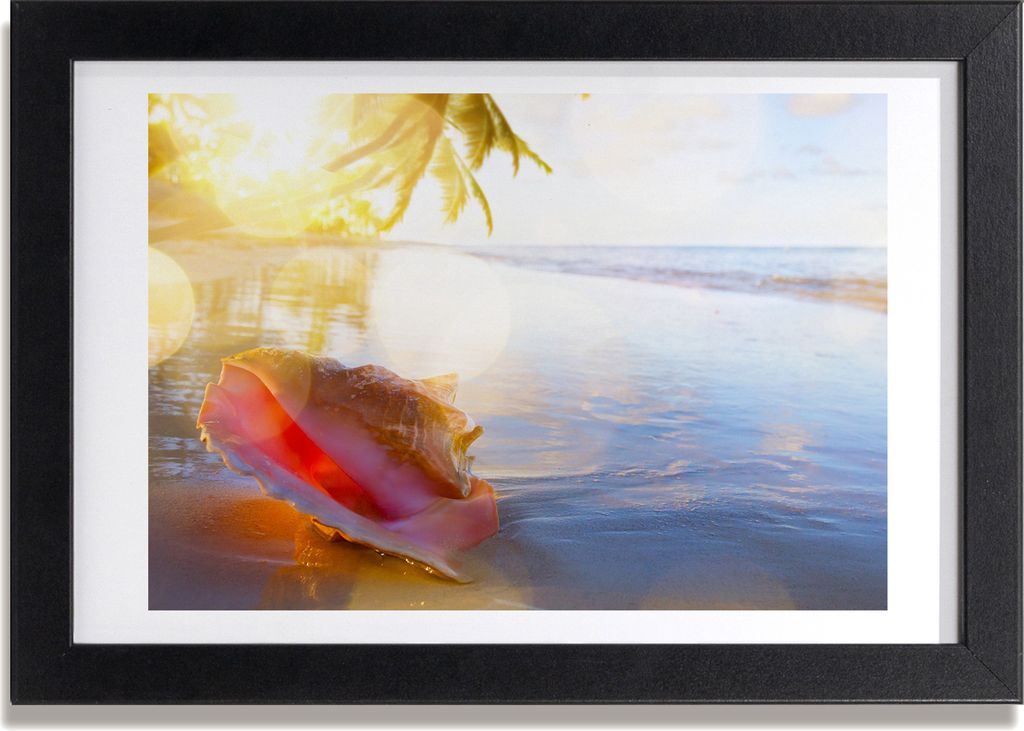 Bild 30x20 MDF-Rahmen, Wandkunst Seashell am Strand