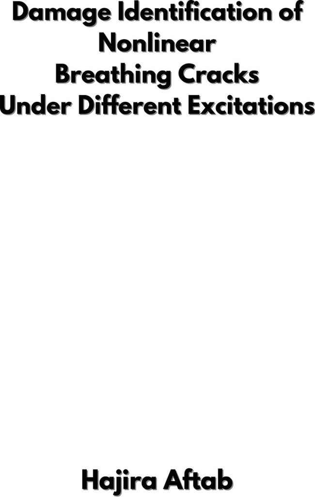 Damage Identification of Nonlinear Breathing Cracks Under Different Excitations