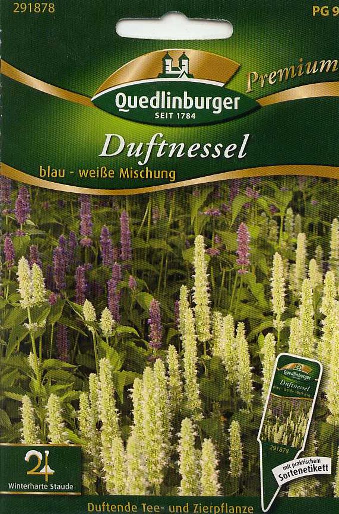Duftnessel, blau - weiße Mischung Produktbild 