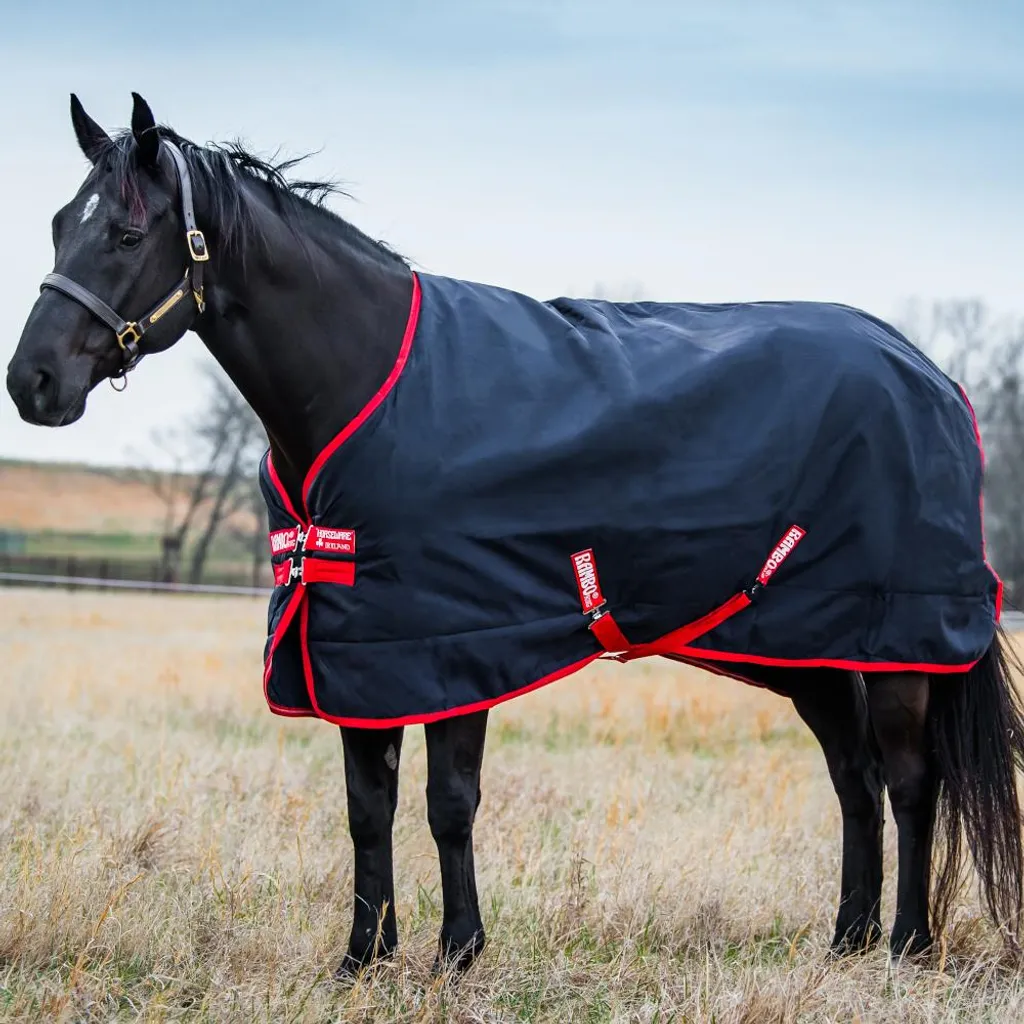 Couverture de pré imperméable Horseware Rambo Original 200g Bleu 155