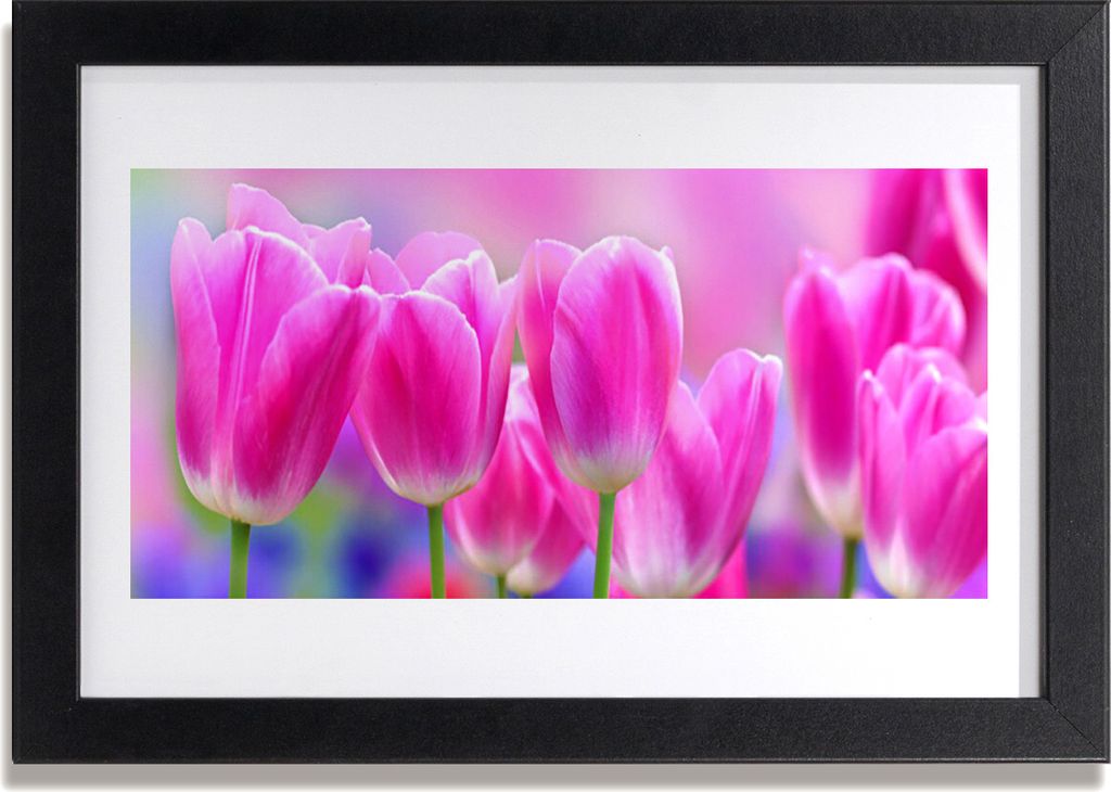 Bild 30x20 MDF-Rahmen Wandkunst Tulpen auf Wand