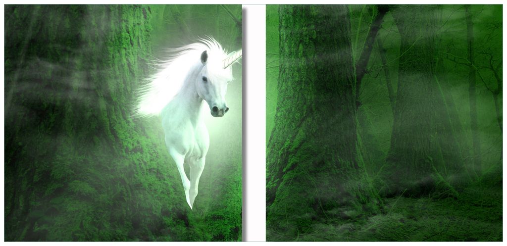 Wallario 2er Set Wandbilder aus Acryl, 50 x 50 cm, freischwebende Optik - Weißes Einhorn im grünen Wald