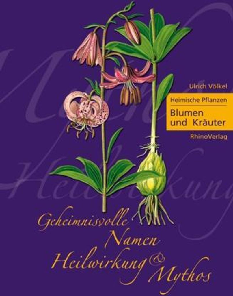Heimische Pflanzen 01. Blumen und Kräuter
