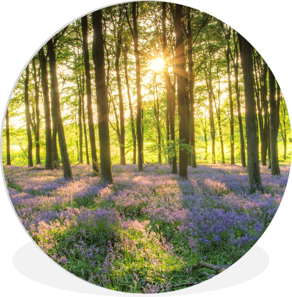 MuchoWow Rundes Wandbild - Runde Bilder Frühling - Wald - Sonne Ø 30 cm Kreis Wanddekoration Kunststoff - Wandkreis - Wandschmuck - Schlafzimme...