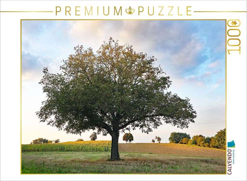 CALVENDO Puzzle September | 1000 Teile Lege-Größe 64x48cm Foto-Puzzle für glückliche Stunden