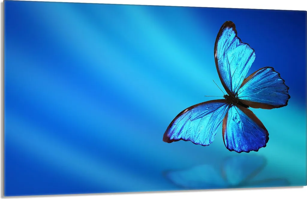 Protezione Piano Cottura Vetroceramica 80x52cm Blu Farfalla 1pz