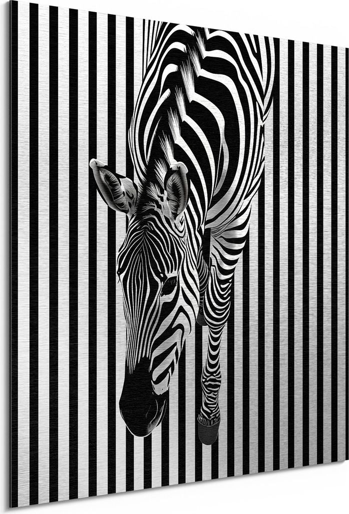 DEQORI Alu-Dibond Bild Silber 50x50 cm 'Zebra im Streifenrausch' Wandbild Metall dünn