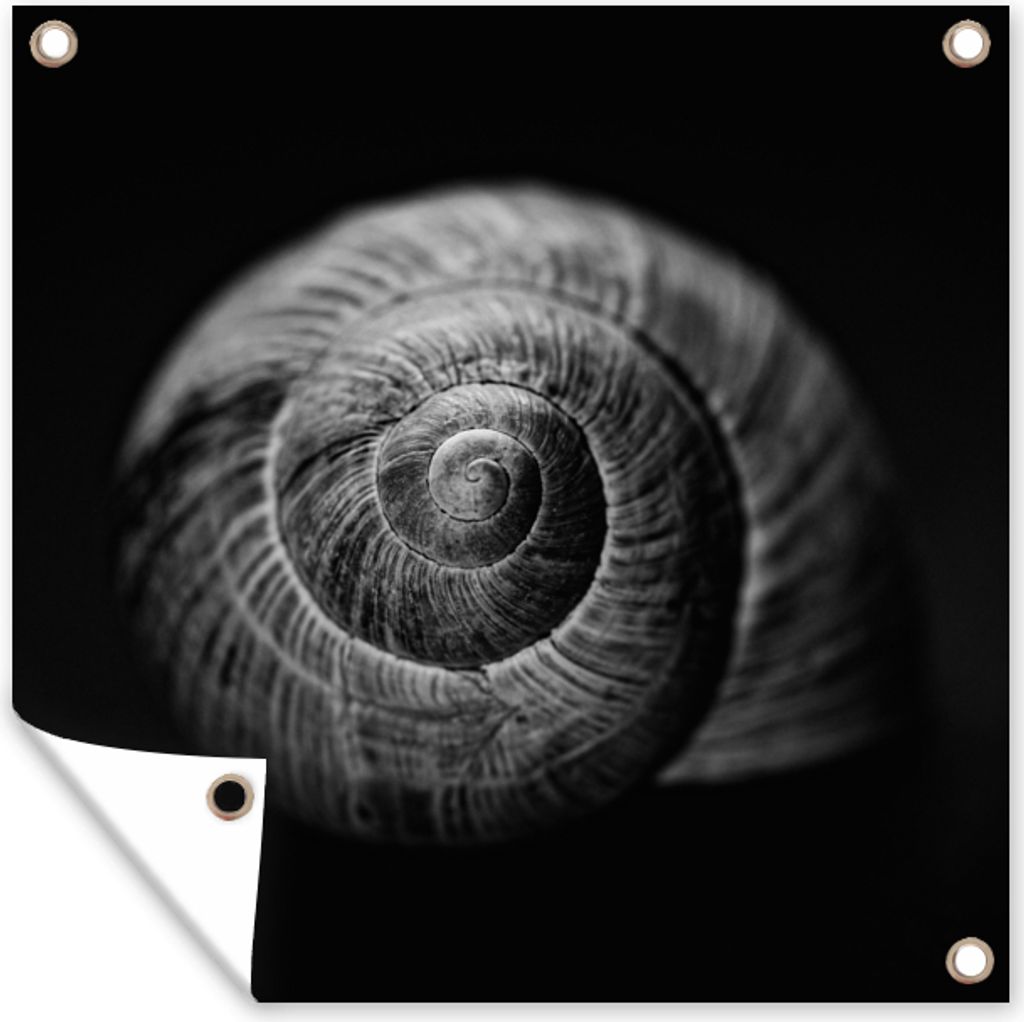 MuchoWow 100x100 cm Outdoor-Poster Gartendeko Sichtschutz Garten Poster für den Garten Schnecke - Tiere - Schwarz - Weiß - Schneckenhaus