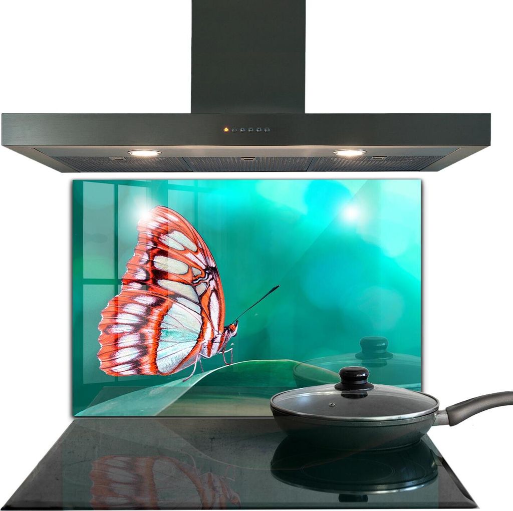 Spritzschutz aus Glas Küchenrückwand - Wandschutz für Herd und Spüle - 80x60 cm - Schöner Schmetterling in der Natur