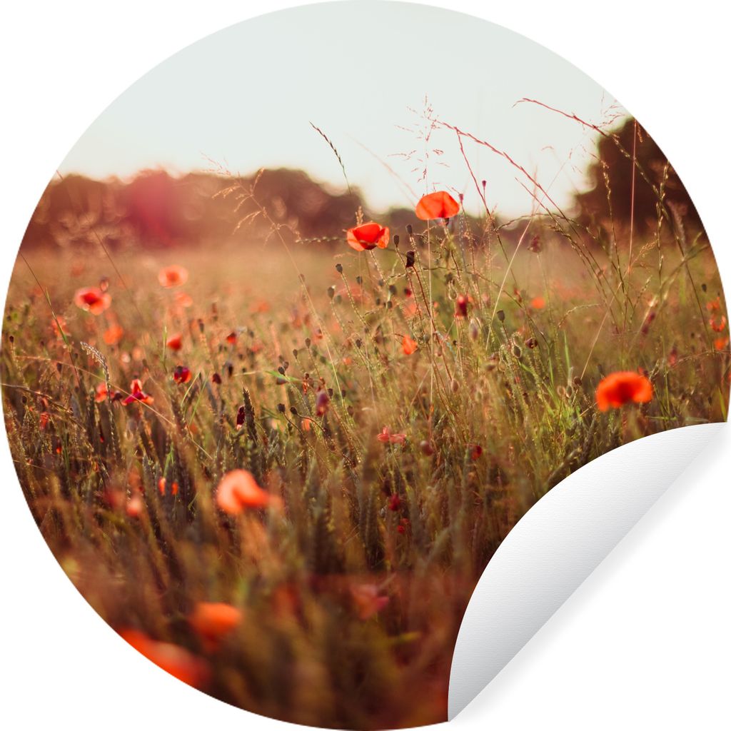 MuchoWow Runde Wandtattoo - Wandsticker Tapete Aufkleber Sonnenuntergang - Blumen - Rot Ø 30 cm Selbstklebend und Repositionierbar - Wandaufkleb...
