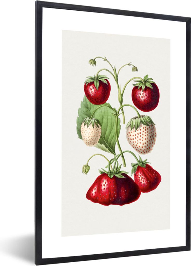 MuchoWow Gerahmtes Poster Erdbeere - Obst - Lebensmittel 60x90 cm - Poster mit Schwarzem Bilderrahmen Wandposter Rahmen Foto Bilder - Kunst