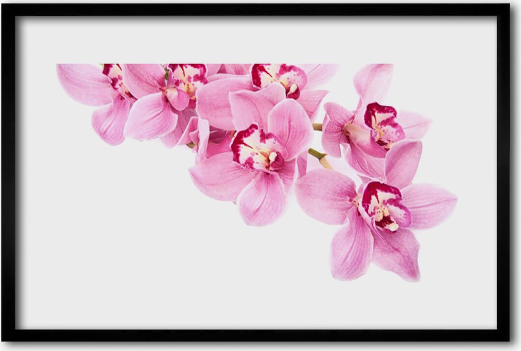 Bild 60x40 MDF-Rahmen Wandkunst Blumen Pflanzen Natur