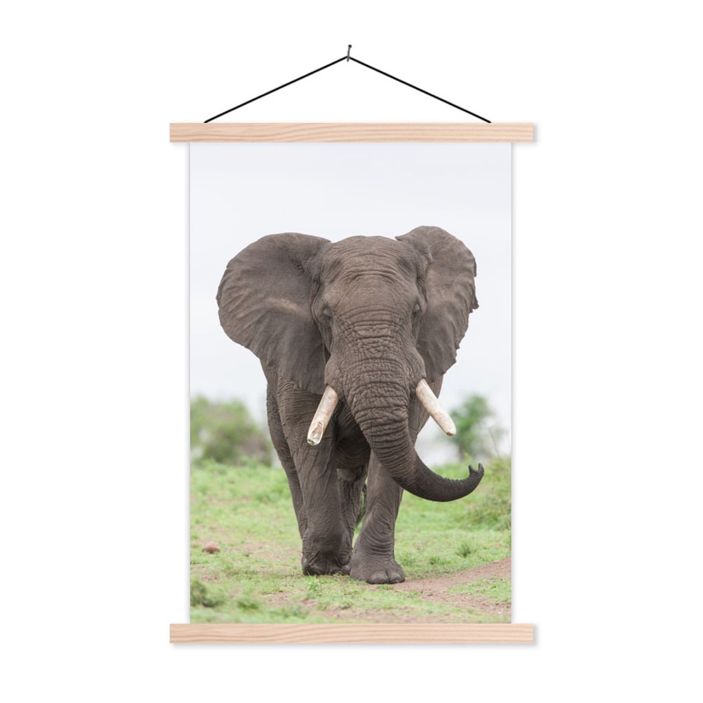 MuchoWow Textilposter Elefant - Tiere - Gras - Natur 120x180 cm mit holzfarbenen Rahmen - Textil-Plakat
