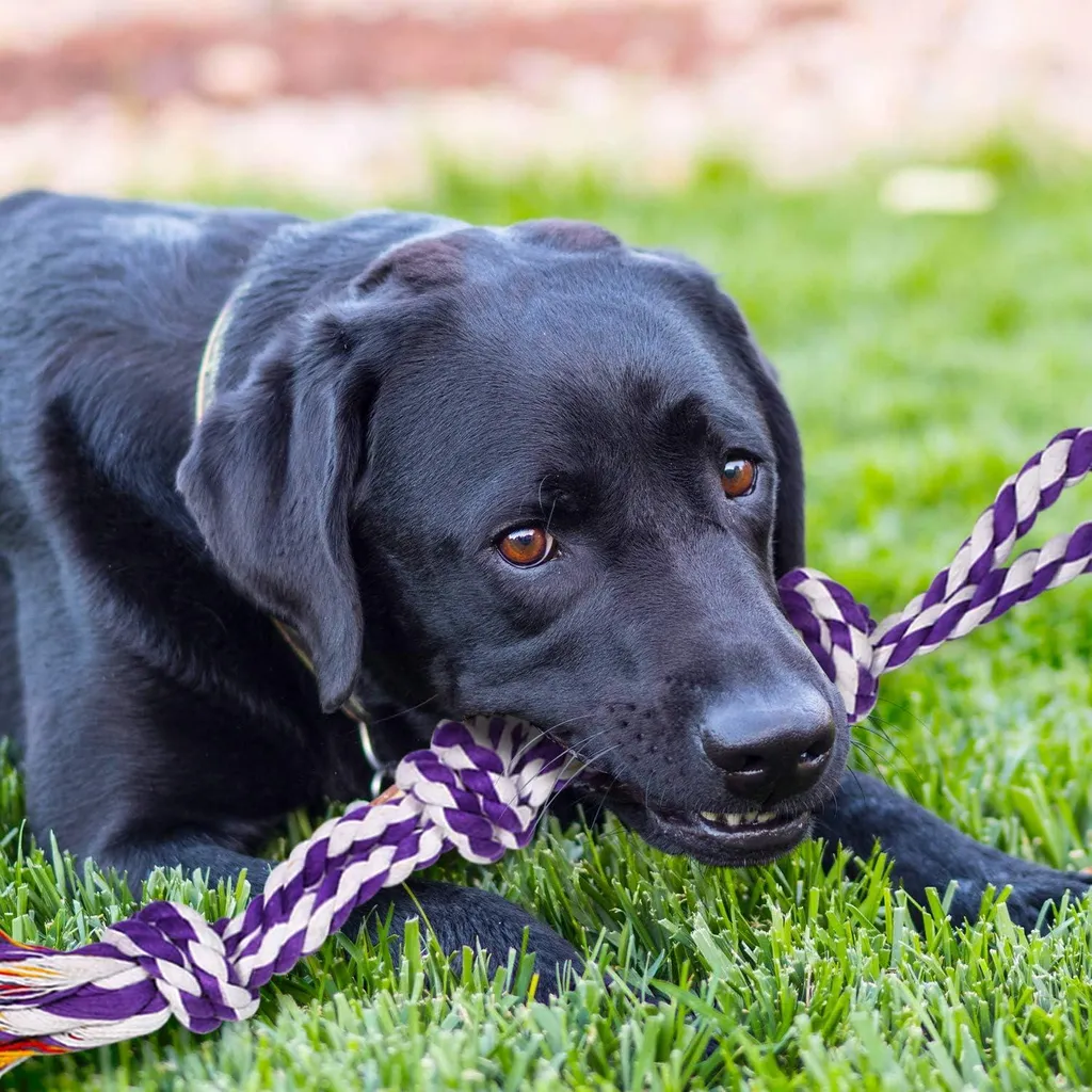 Corde à mâcher XXL pour chien destructeur avec 5 nœuds résistants XL