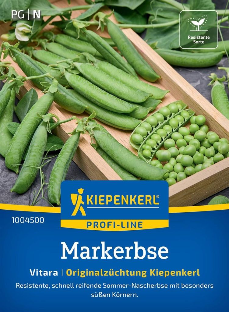 Kiepenkerl Markerbsensamen Vitara Pisum sativum medullare Produktbild 