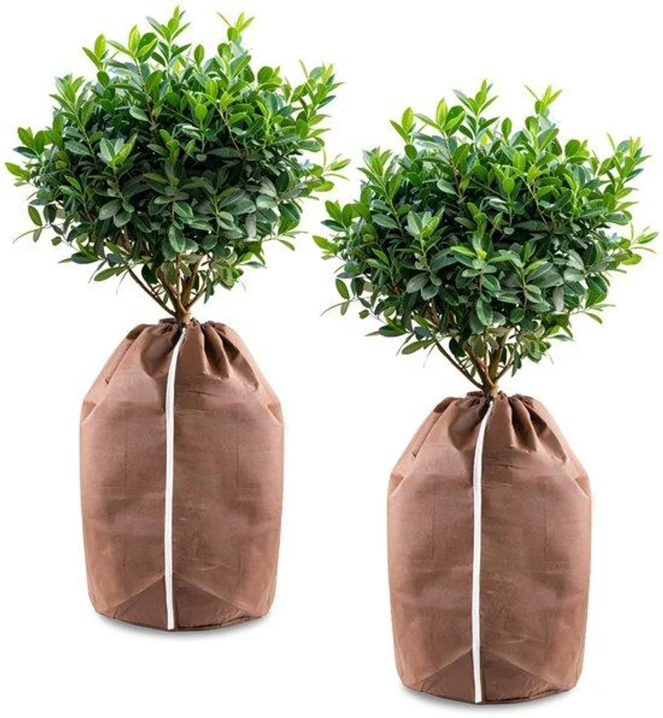 Protection d'Hiver pour Plantes XL 50x80cm - Housse Thermique Translucide
